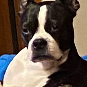 Meet your Posher, Kaylie